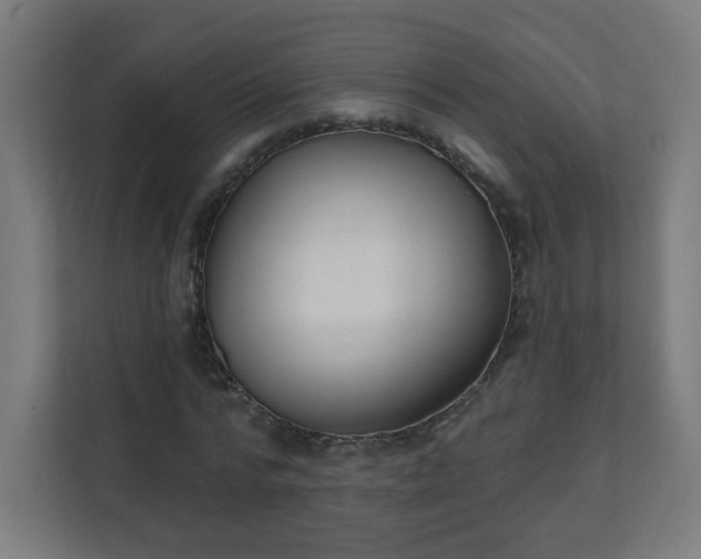X0000111130776200907071017