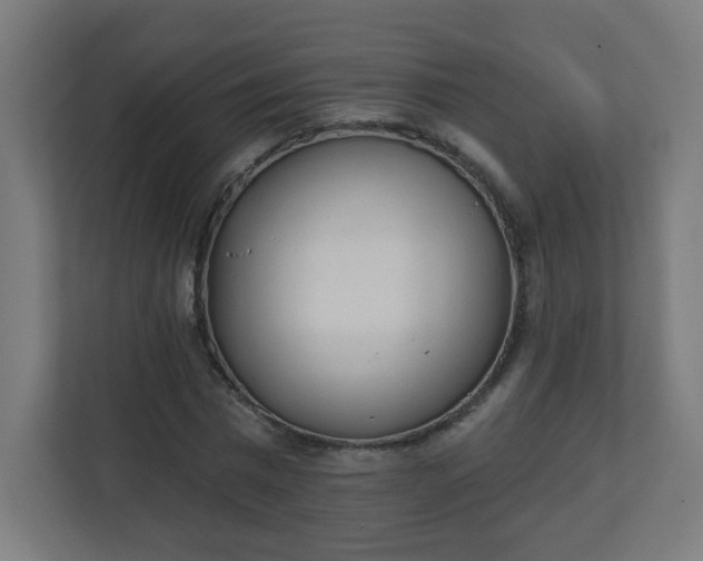 X0000111130777200907071017