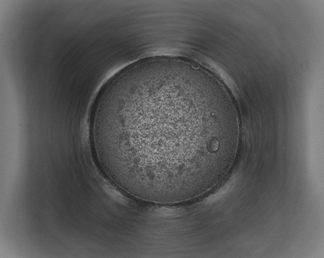 X0000111130779200907071017