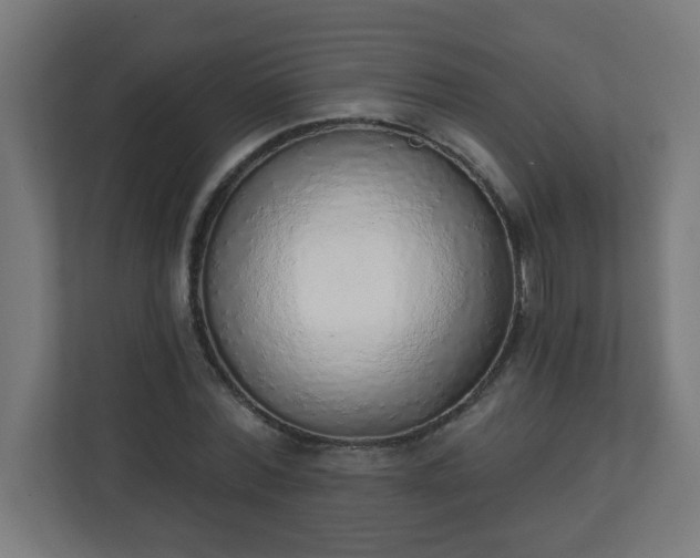 X0000111130780200907071017