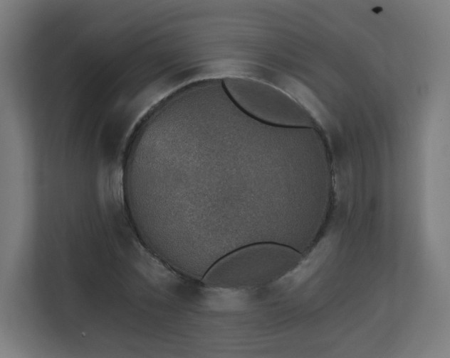 X0000111130781200907071017