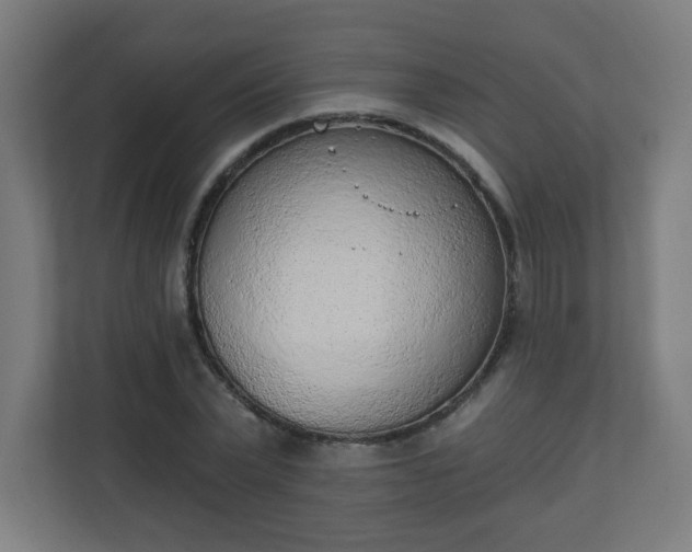 X0000111130783200907071017
