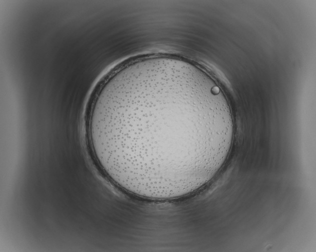 X0000111130784200907071017