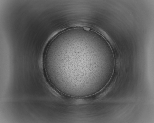 X0000111130787200907071017
