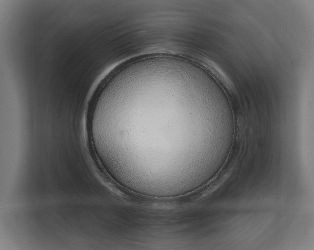 X0000111130788200907071017