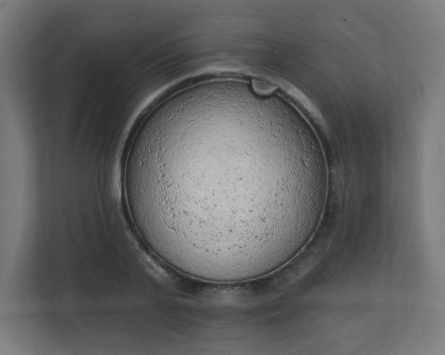 X0000111130791200907071017