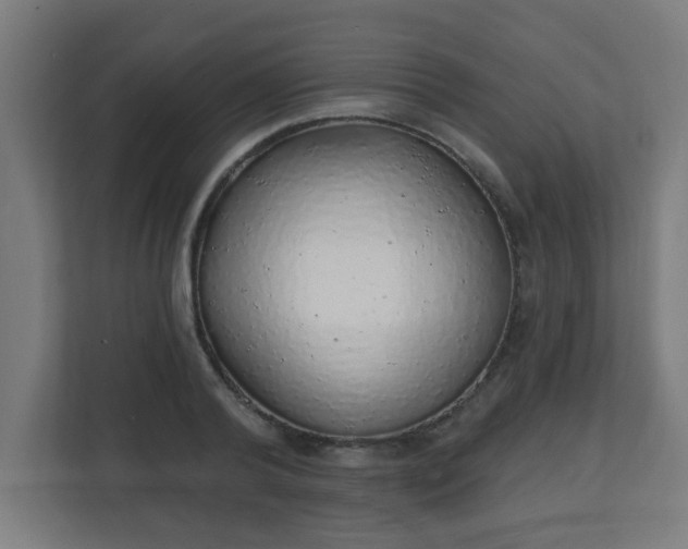 X0000111130792200907071017