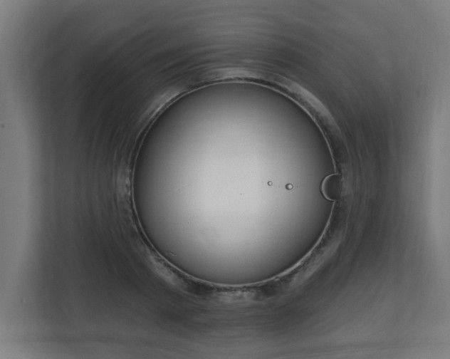 X0000111130793200907071017