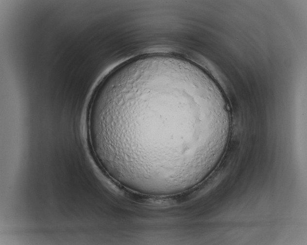 X0000111130795200907071016