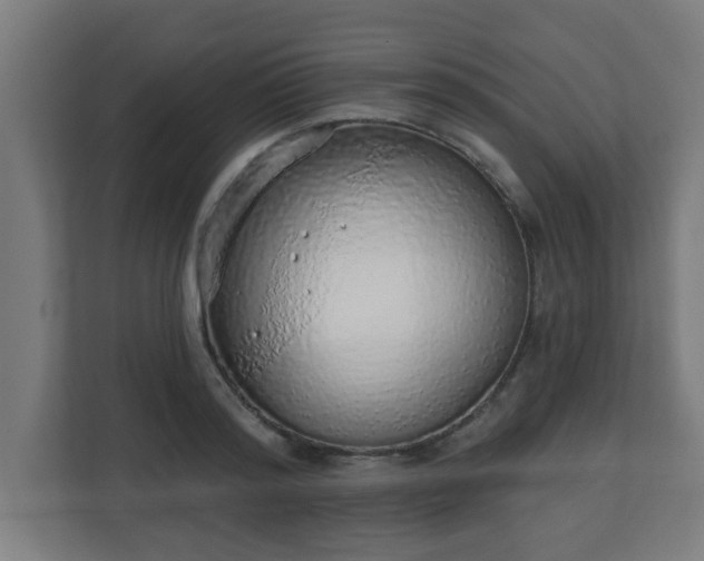 X0000111130796200907071016