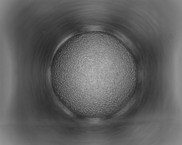 X0000111130798200907071016