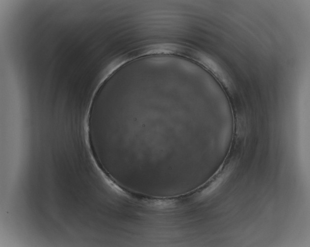 X0000111130802200907071016