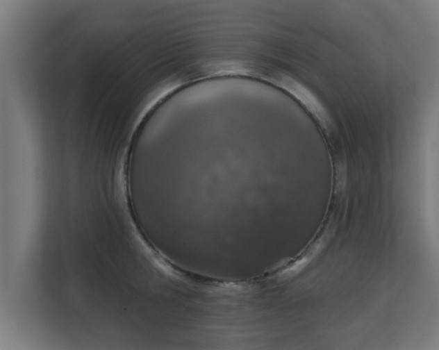 X0000111130806200907071016