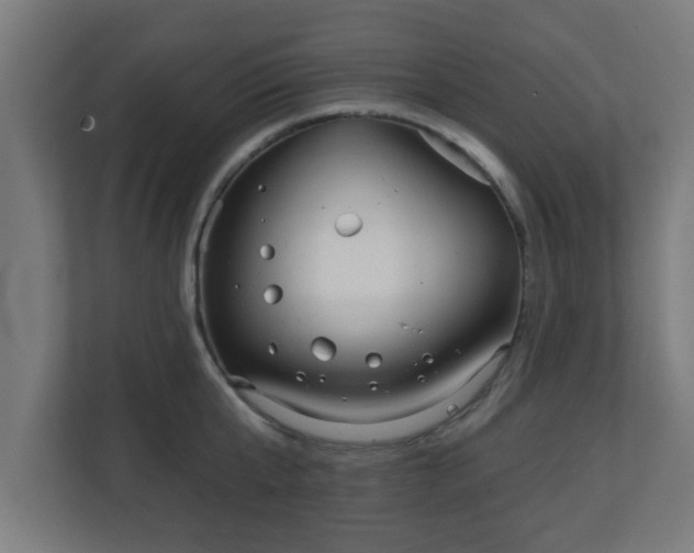 X0000111130807200907071016
