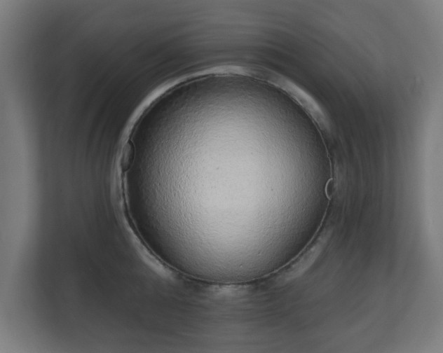 X0000111130808200907071016