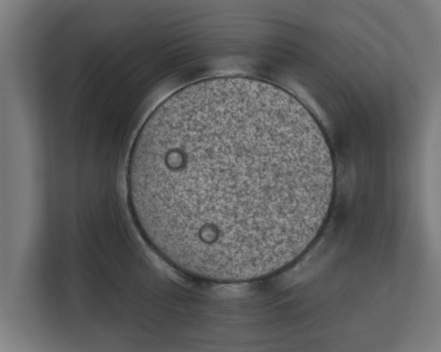 X0000111130810200907071016