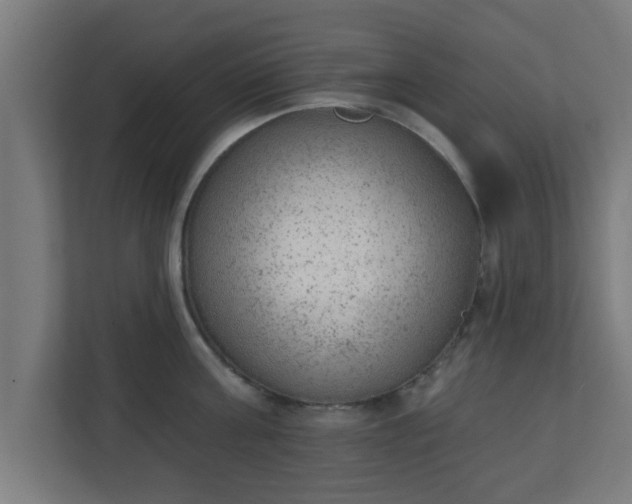 X0000111130811200907071016
