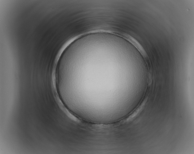 X0000111130812200907071016