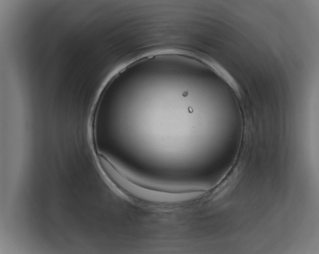 X0000111130813200907071016