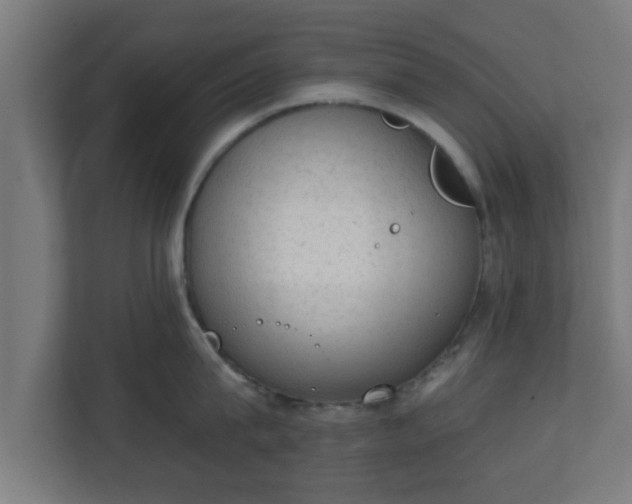 X0000111130815200907071016
