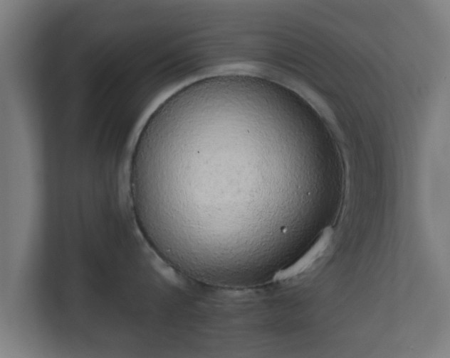 X0000111130816200907071016