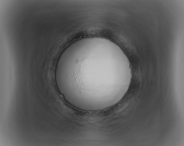 X0000111130817200907071016