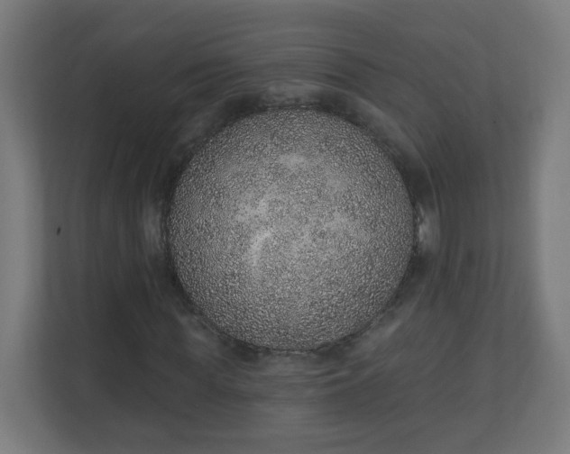X0000111130819200907071016
