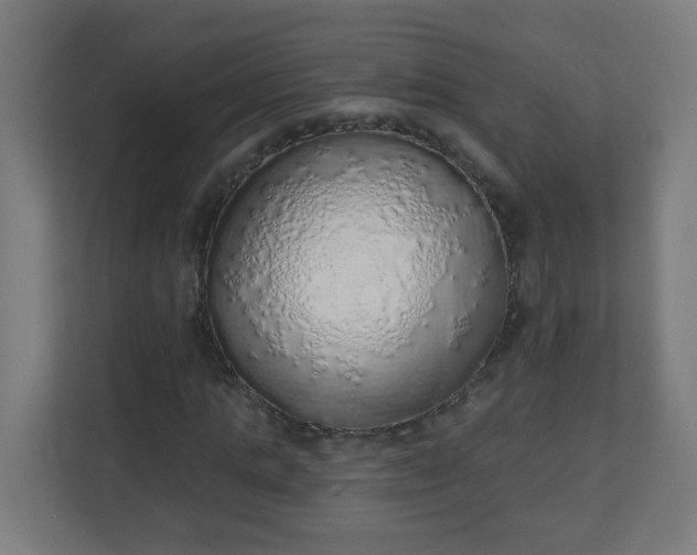 X0000111130821200907071016