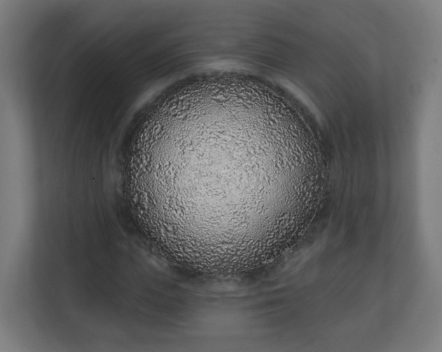 X0000111130823200907071016