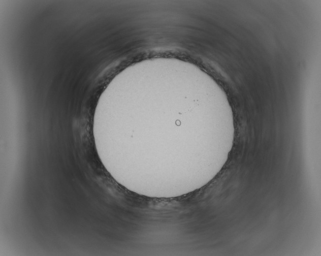 X0000111130824200907071016