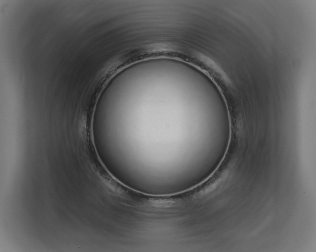 X0000111130825200907071016