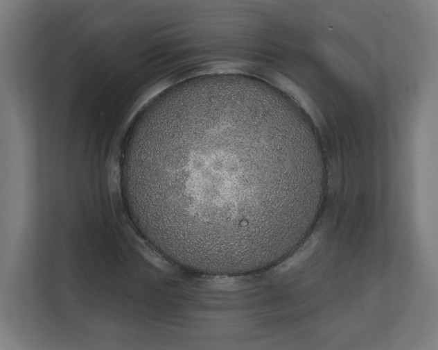 X0000111130827200907071016