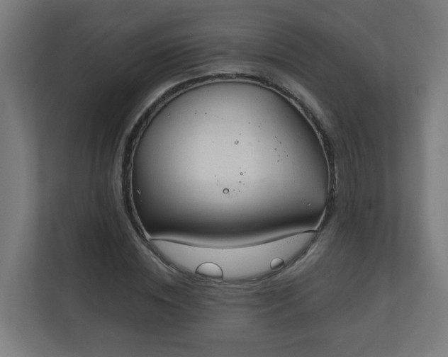 X0000111130828200907071016