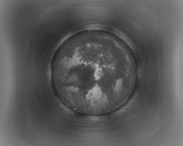 X0000111130829200907071016