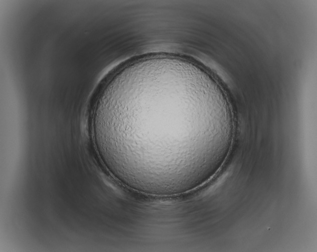 X0000111130830200907071016