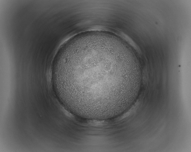 X0000111130831200907071016