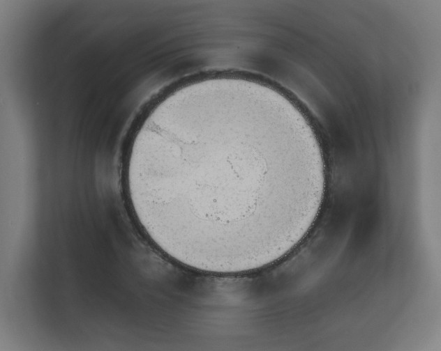 X0000111130832200907071016