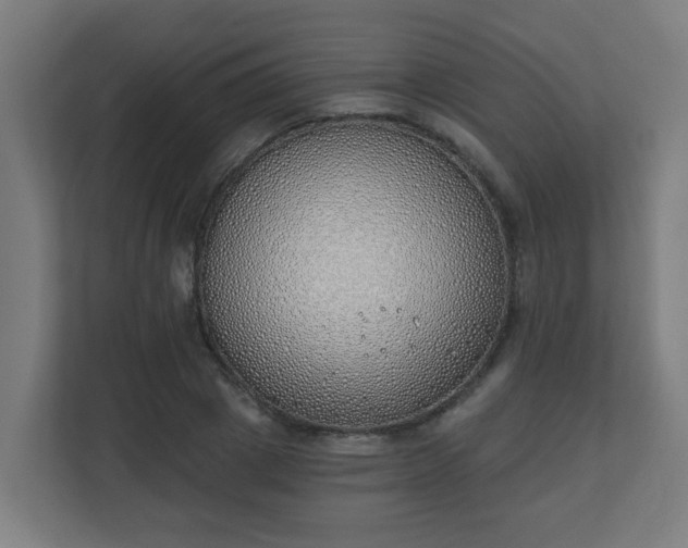 X0000111130833200907071016