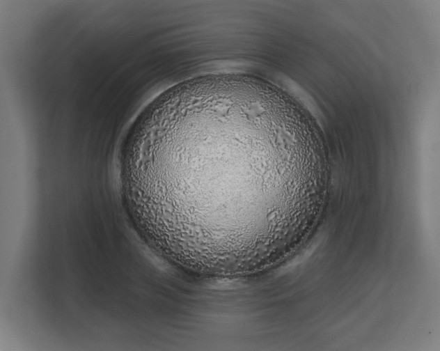 X0000111130835200907071016