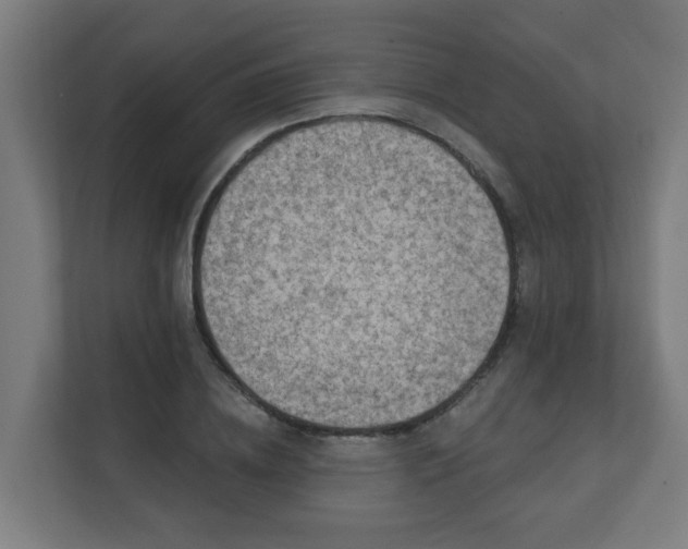 X0000111130836200907071016