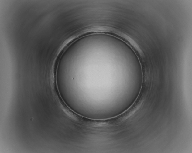 X0000111130837200907071016