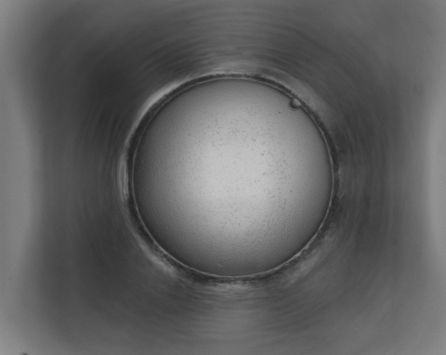 X0000111130838200907071016