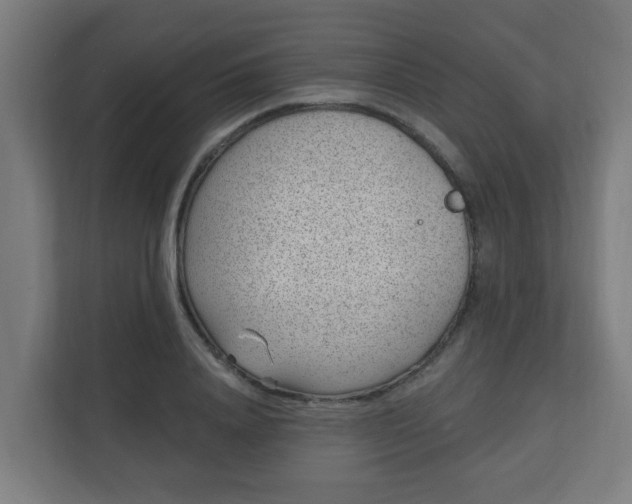 X0000111130840200907071016