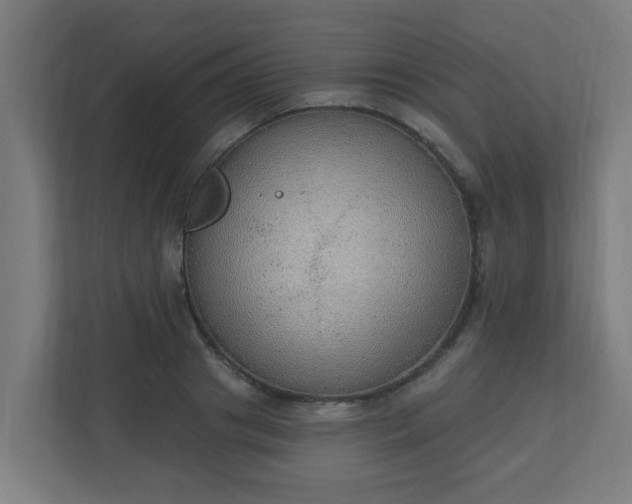 X0000111130841200907071016