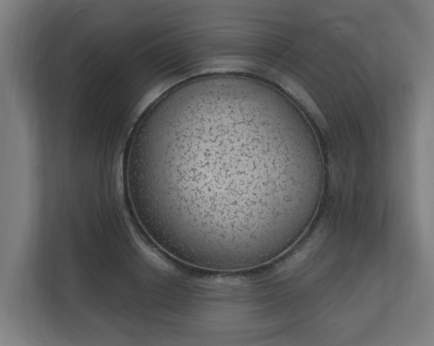 X0000111130842200907071016
