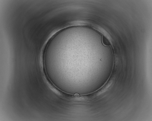 X0000111130843200907071016