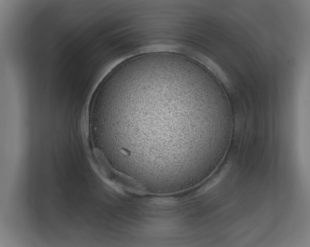 X0000111130844200907071016