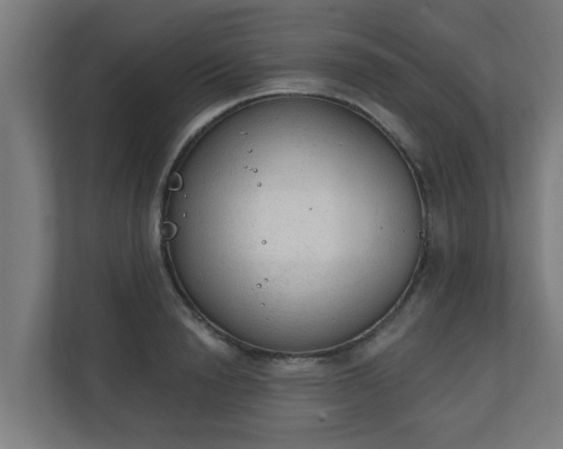 X0000111130846200907071016