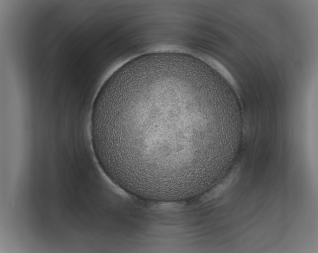 X0000111130847200907071016