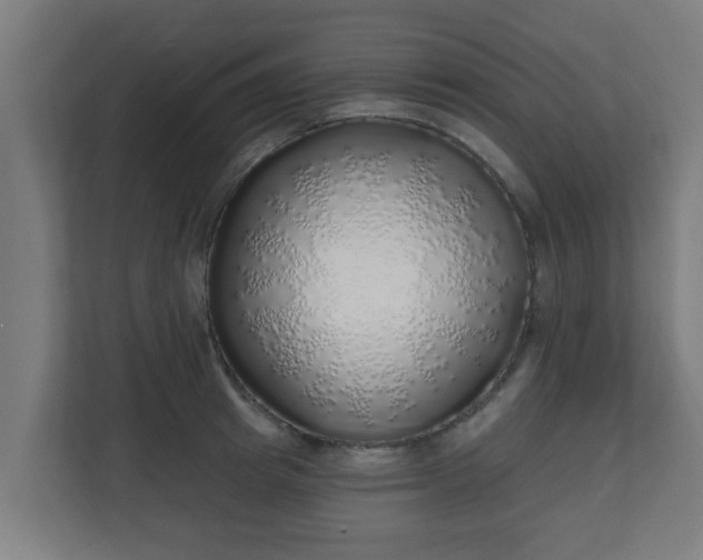 X0000111130849200907071016